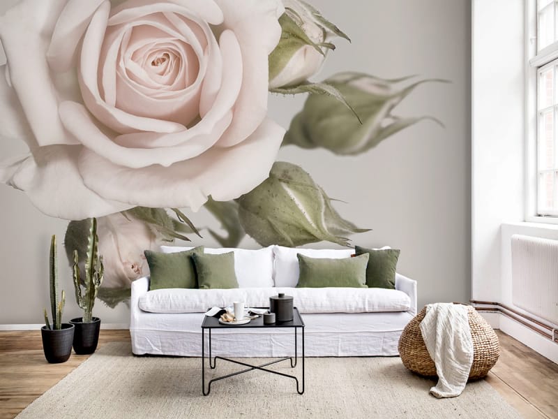 Фотообои Нежная роза в интерьере гостиной