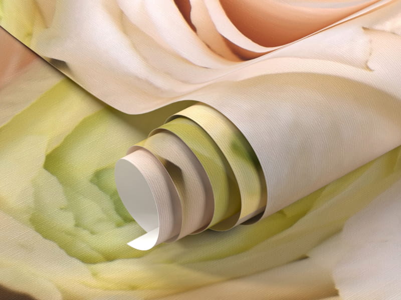 Фотообои Кремовые розы фрагмент #1