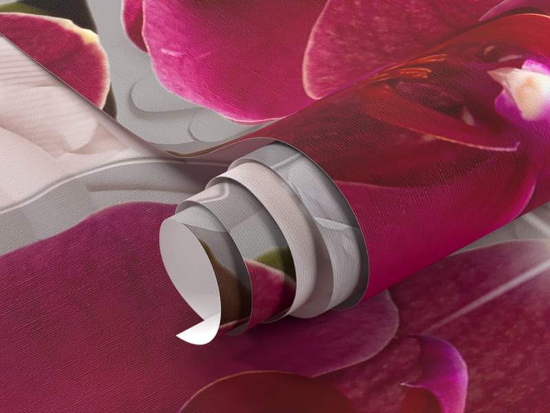 Фотообои Яркие орхидеи фрагмент #1