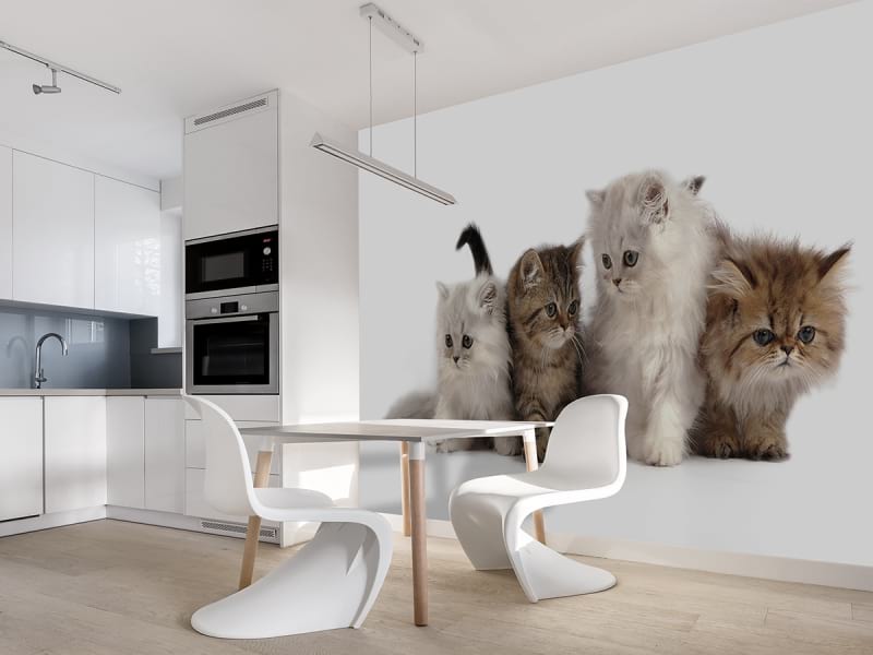 Фотообои Пушистые котята в интерьере кухни