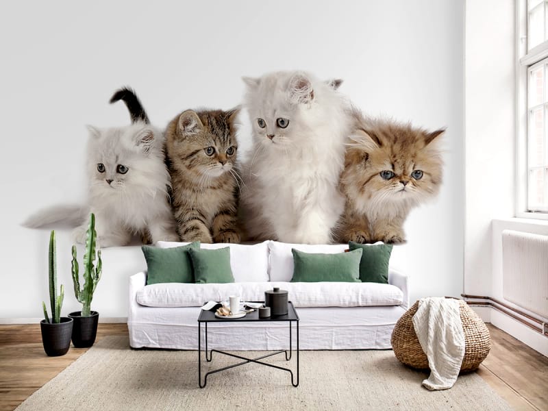 Фотообои Пушистые котята в интерьере гостиной