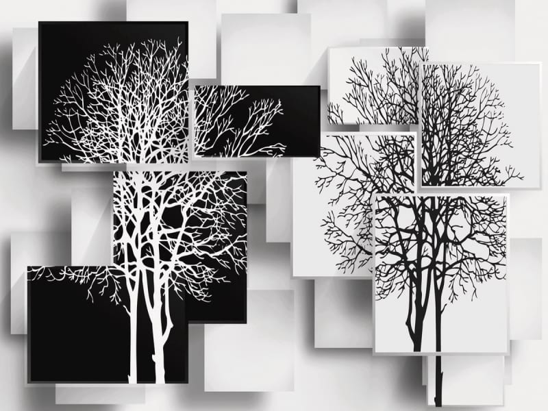 Фотообои Чёрно-белые деревья
