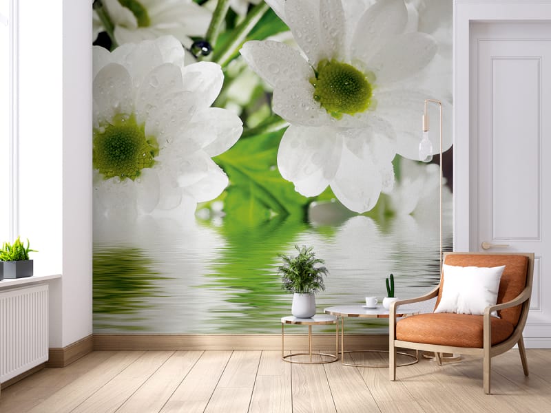 Фотообои Белоснежные цветы в воде в интерьере гостиной