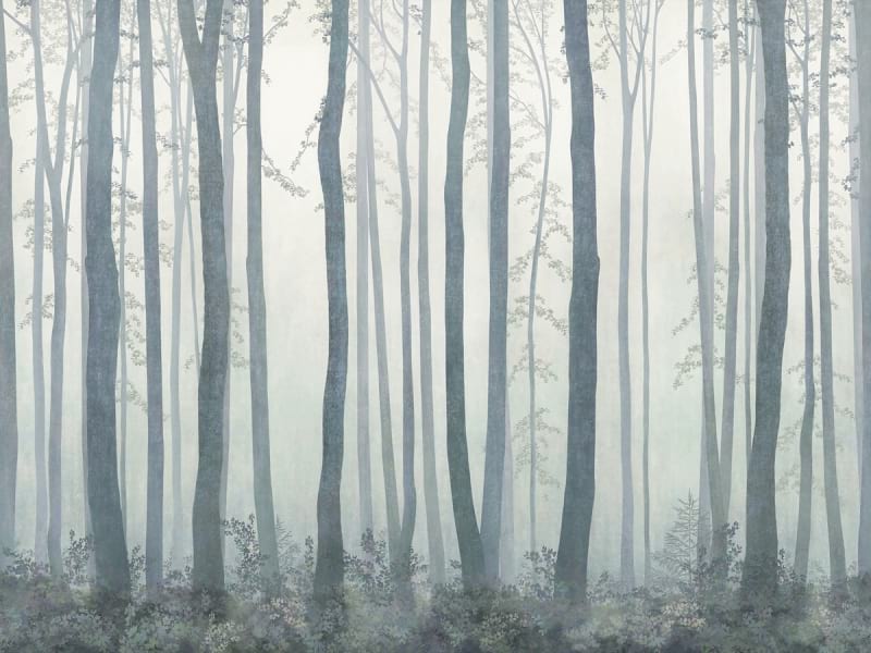 Фотообои Густой туман в лесу