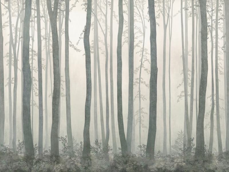 Фотошпалери Дерева в тумані