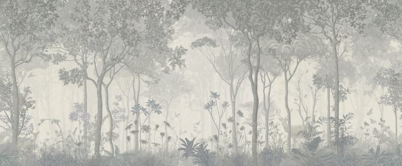 Фотообои Утро в туманном лесу