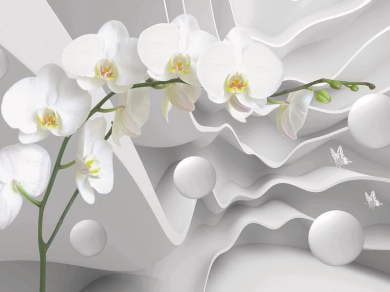 Фотошпалери Біла орхідея і абстракція