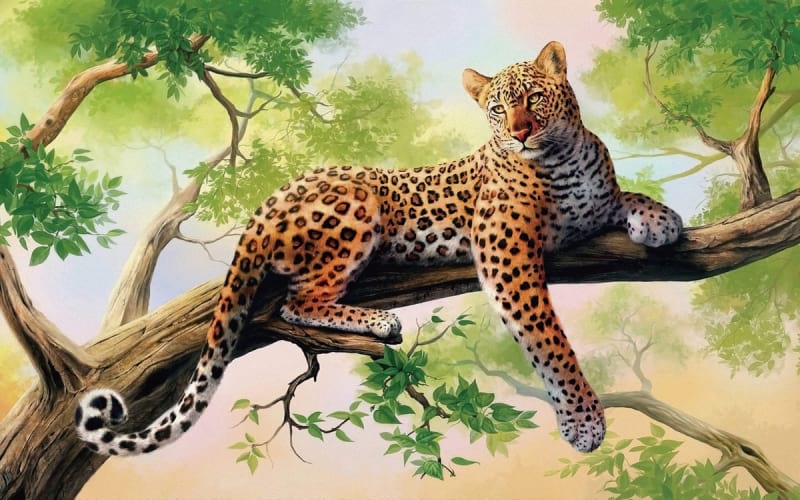 Фотошпалери Плямистий леопард на дереві