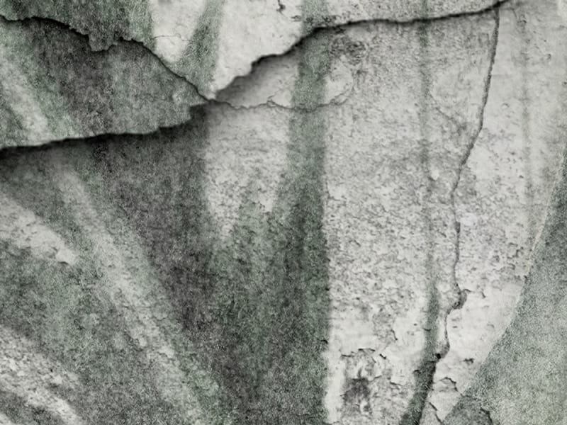 Фотообои Листья на бетонной стене фрагмент #1