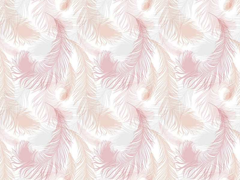 Фотообои Розовые перья