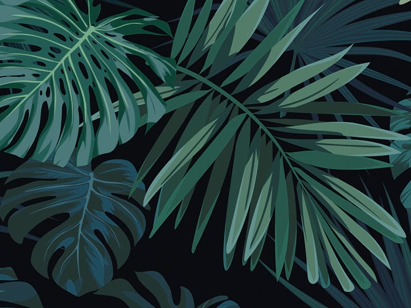 Фотообои Пышные тропические листья фрагмент #1