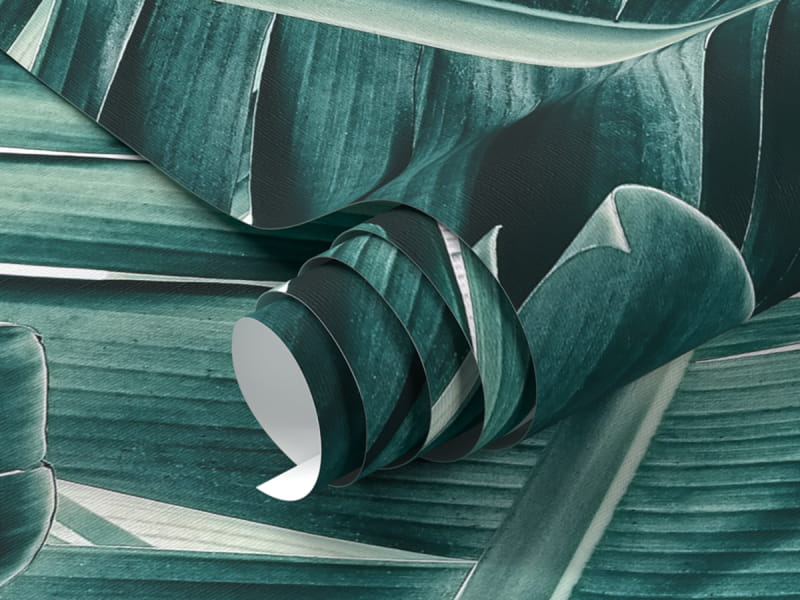 Фотообои Большие листья на белом фоне фрагмент #1