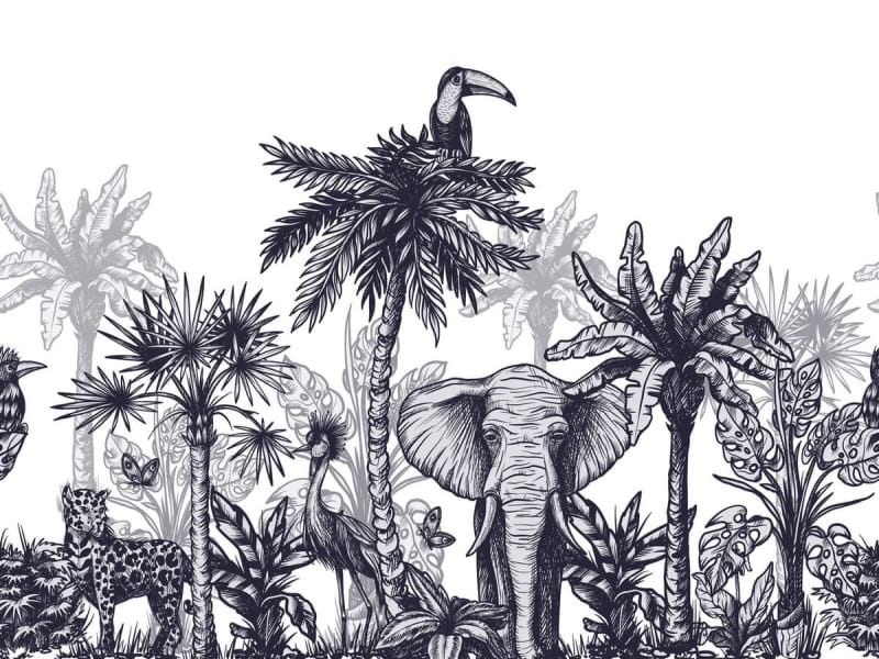 Фотообои Животные в тропиках рисунок