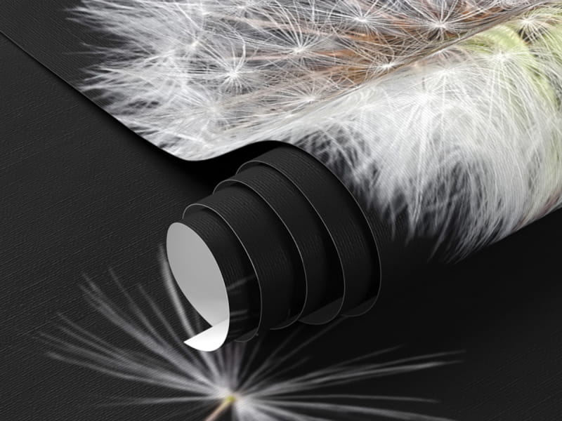 Фотообои Пара белых одуванчиков фрагмент #1