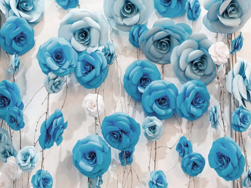 Фотошпалери Стіна з блакитних троянд