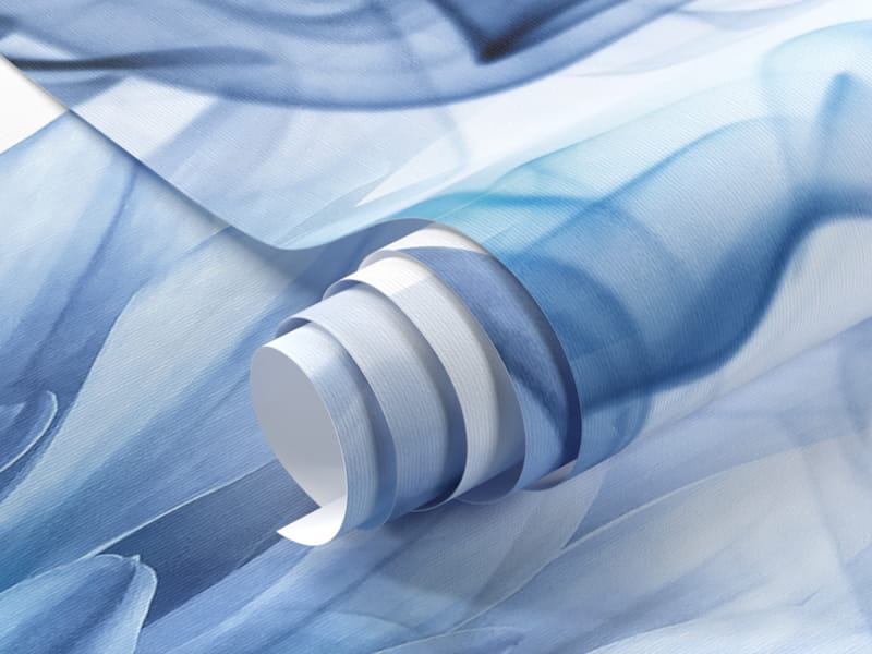 Фотообои Загадочные астры фрагмент #1