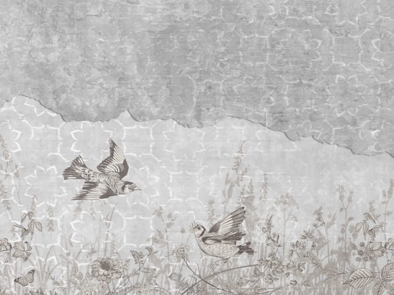 Фотошпалери Малюнок птиці на стіні