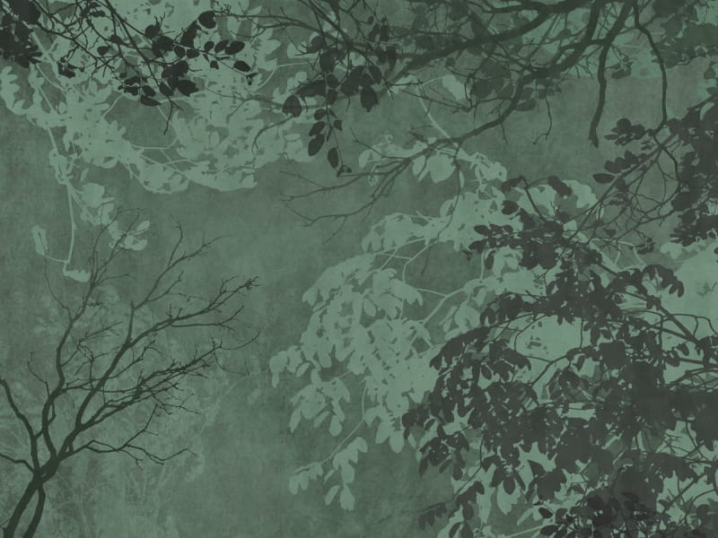 Фотообои Листья зеленые