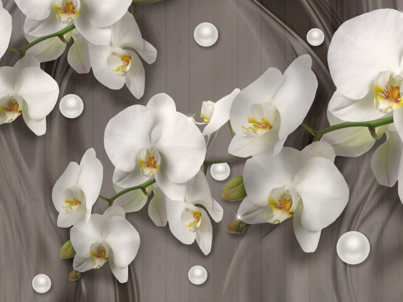 Фотошпалери Білі орхідеї 3Д