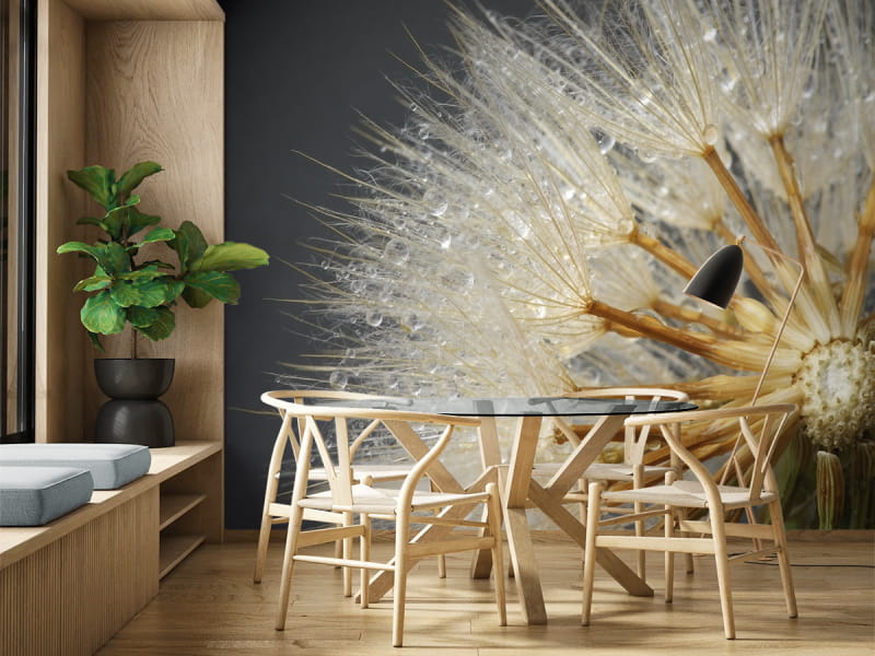 Фотообои Одуванчики макро в интерьере кухни