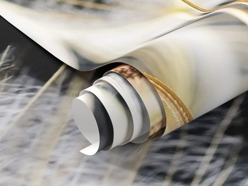 Фотообои Пышый одуванчик макро фрагмент #1