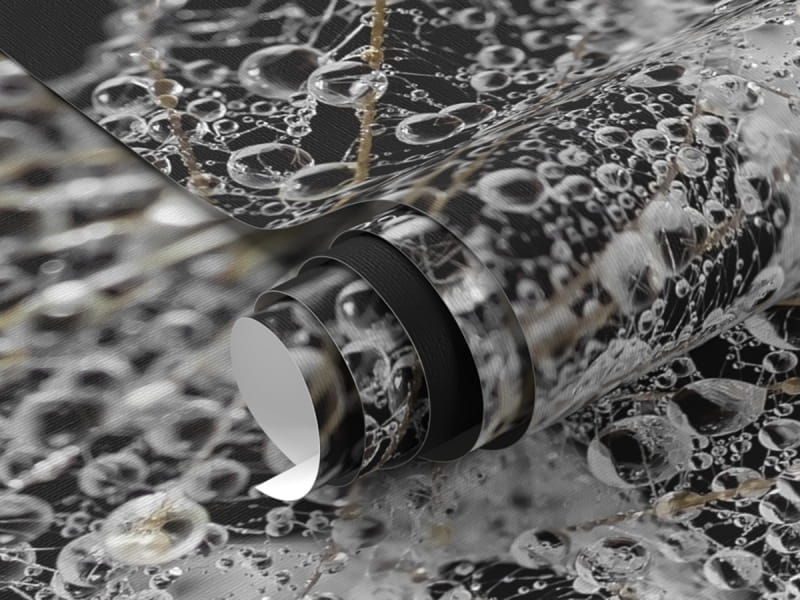 Фотообои Соцветие одуванчика фрагмент #1