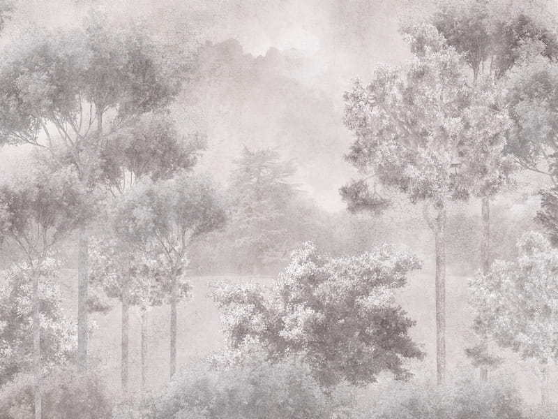 Фотообои Лиственный лес, рисунок