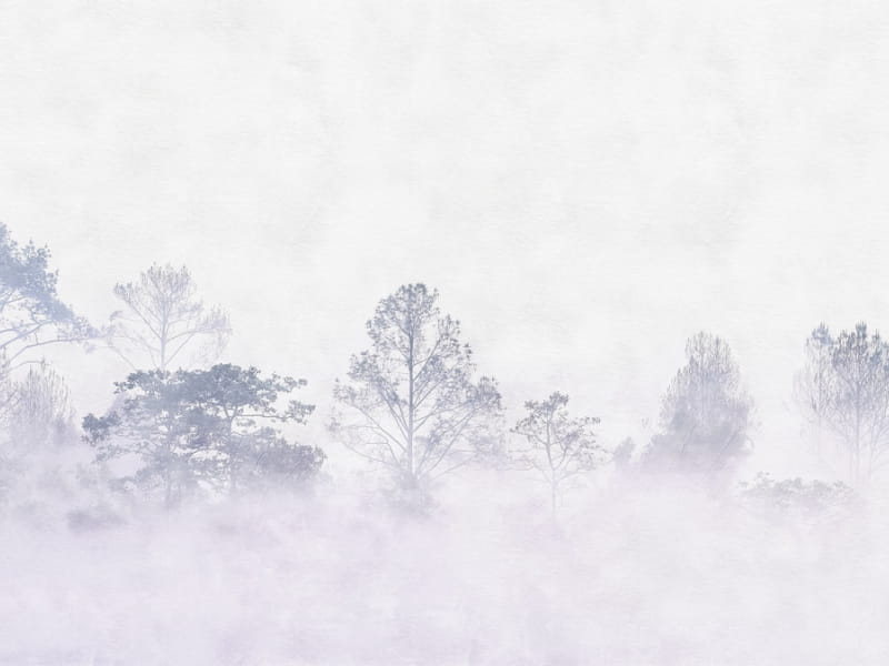 Фотообои Туманный рассвет в лесу