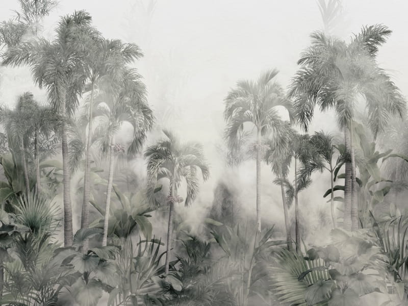 Фотообои Туманный тропический лес