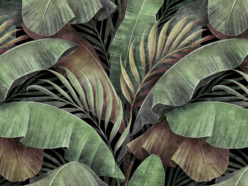 Фотошпалери Тропічні рослини, малюнок