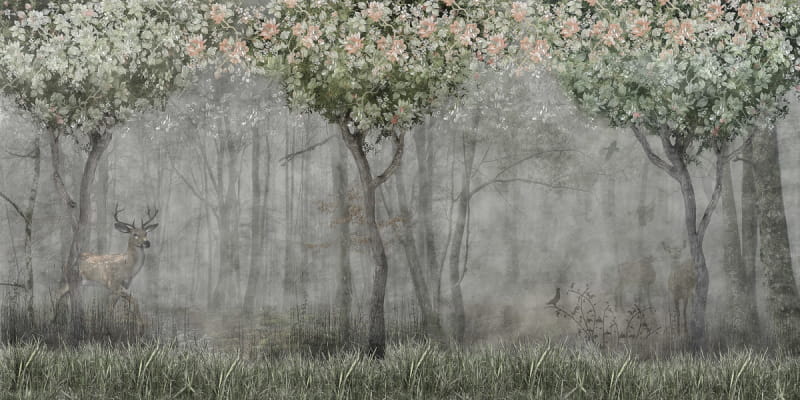 Фотошпалери Ранок туманного лісу