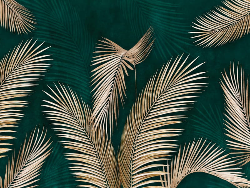 Фотошпалери Листя фінікової пальми
