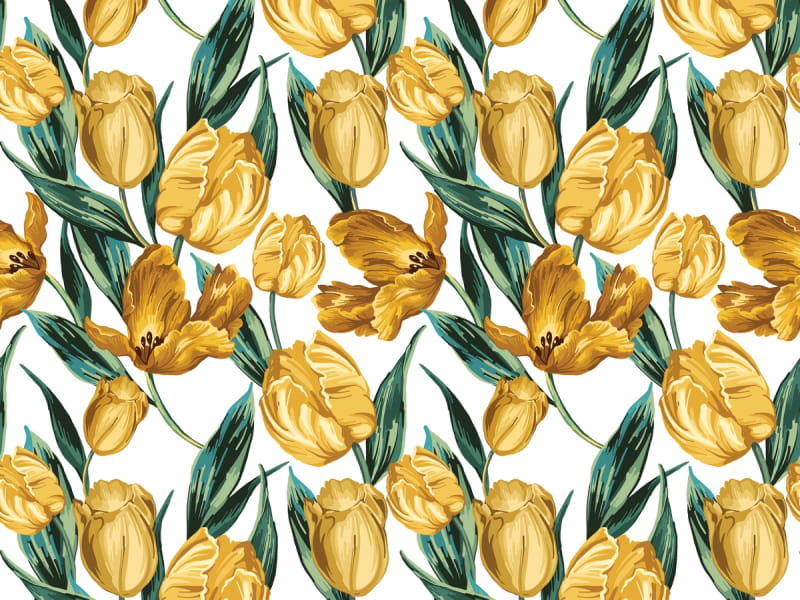 Фотообои Желтые тюльпаны, рисунок