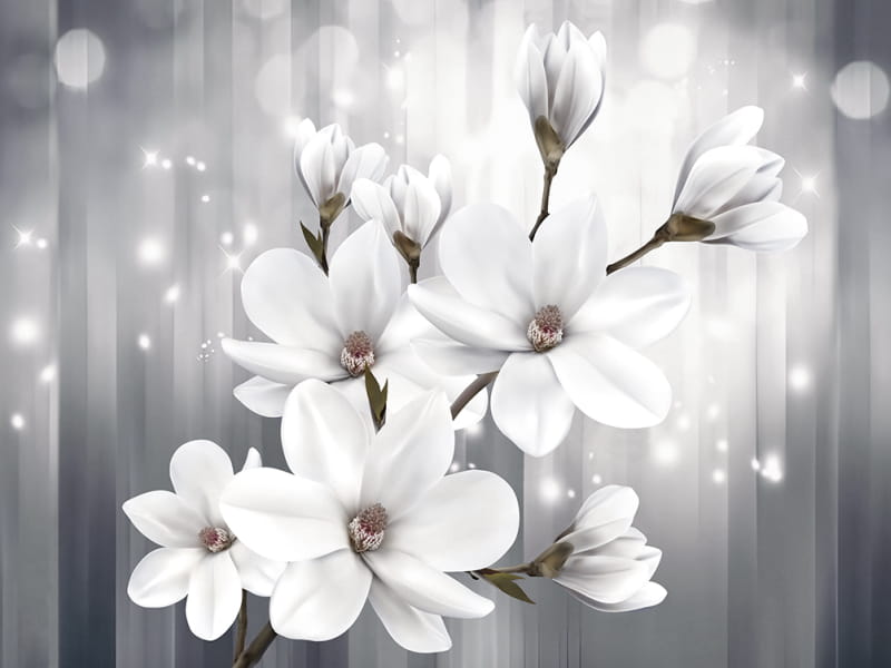 Фотошпалери Світлі квіти магнолії