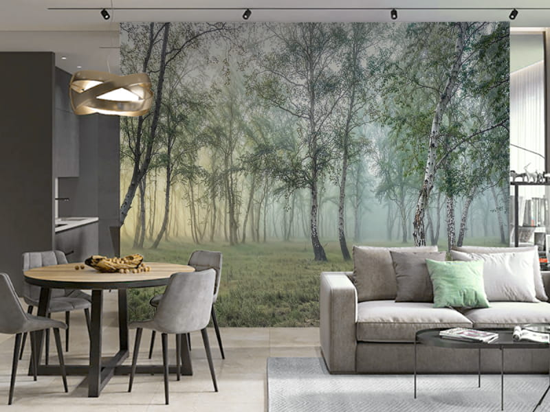 Фотообои Таинственный березовый лес в интерьере гостиной