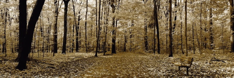 Фотошпалери Осіння панорама