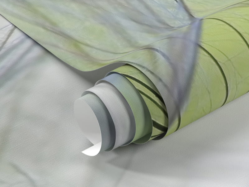 Фотообои Большие пушинки одуванчика фрагмент #1