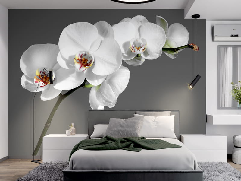 Фотошпалери Ніжні орхідеї в інтер'єрі спальні