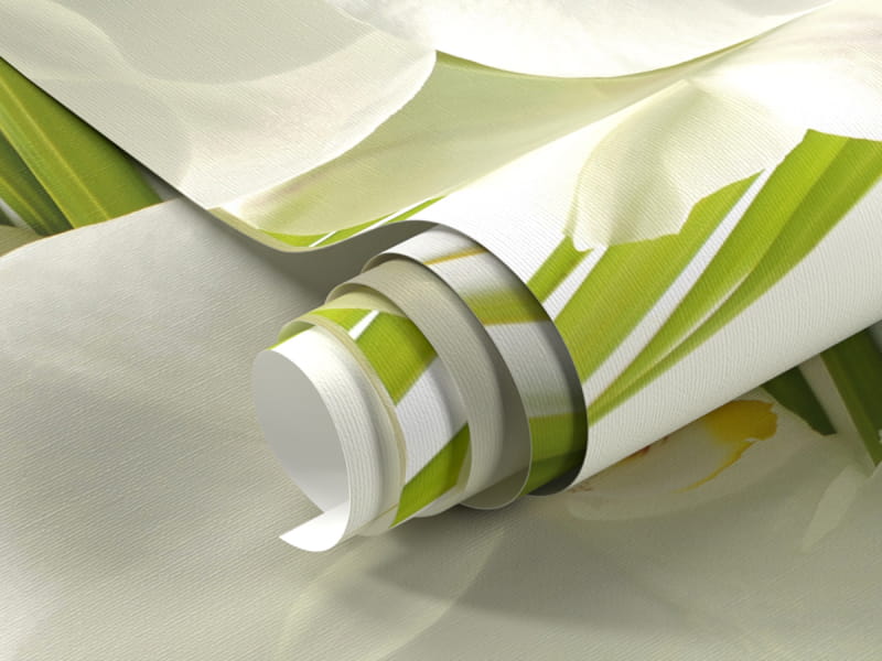 Фотообои Дикая орхидея фрагмент #1