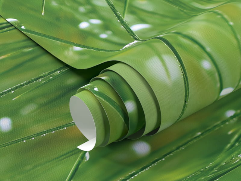 Фотошпалери Роса на траві фрагмент # 1