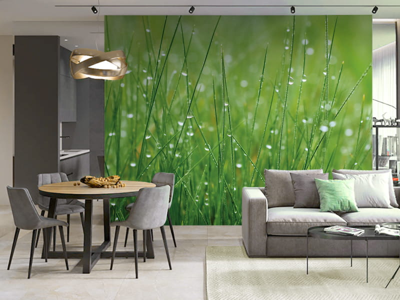 Фотошпалери Роса на траві в інтер'єрі кухні