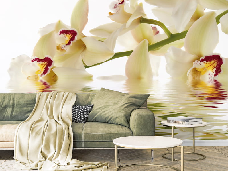 Фотообои Цветы в воде в интерьере гостиной