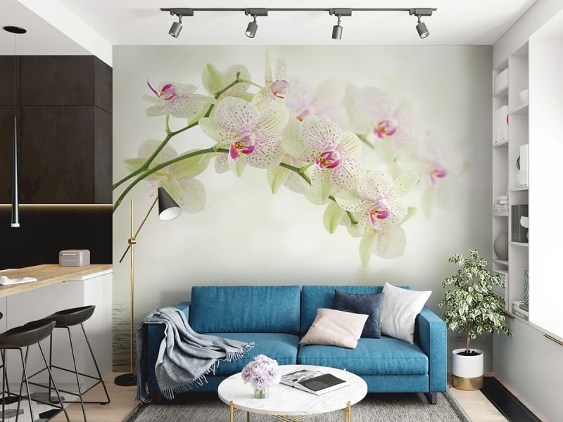 Фотообои Белые орхидеи в интерьере гостиной