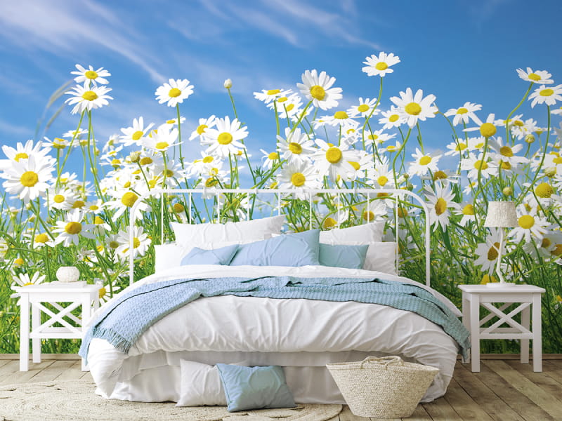 Фотообои Ромашки летом в интерьере спальни