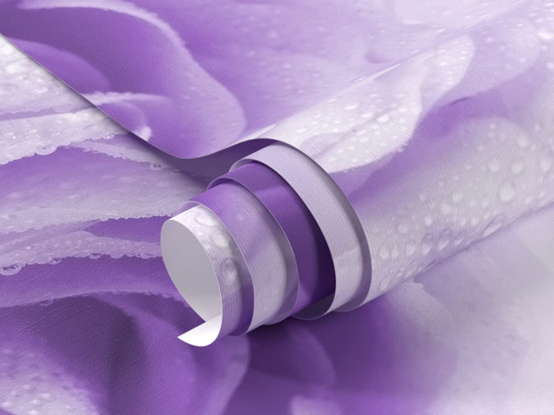 Фотообои Фиолетовые розы фрагмент #1