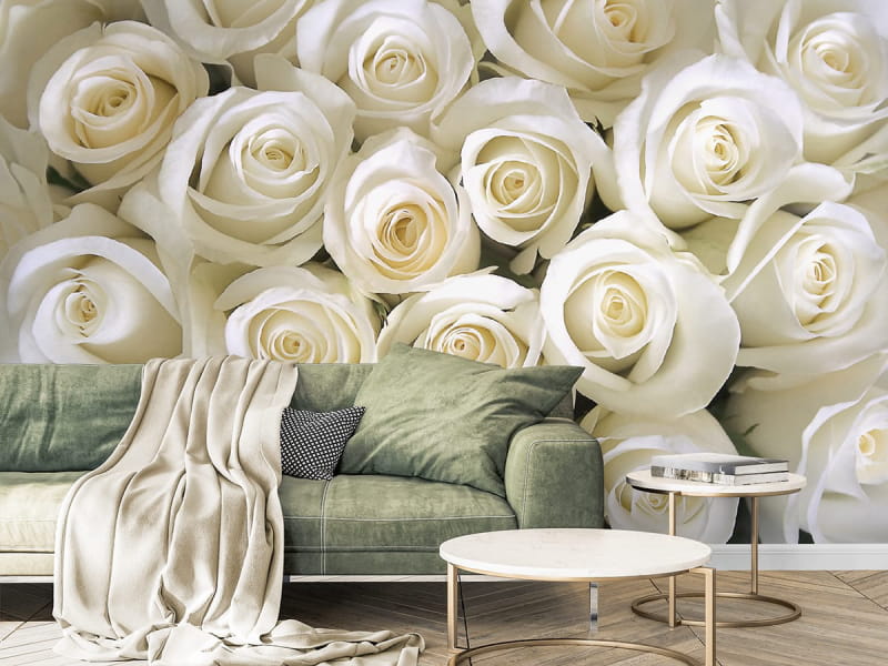Фотошпалери Білі троянди в інтер'єрі вітальні