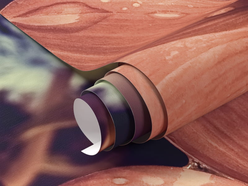 Фотообои Осенний цветок фрагмент #1