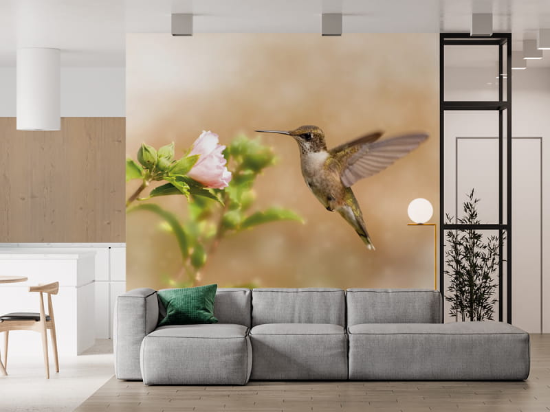 Фотообои Колибри в интерьере гостиной