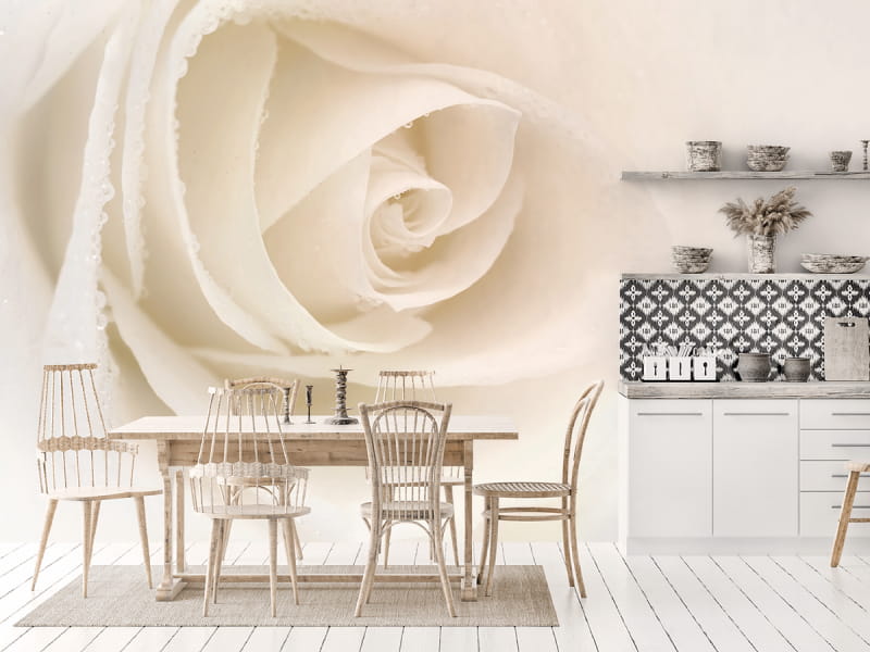 Фотообои Светлая роза в интерьере кухни