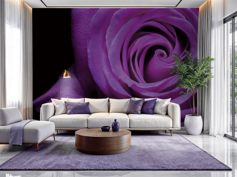 Фотошпалери Пурпурова троянда в інтер'єрі вітальні